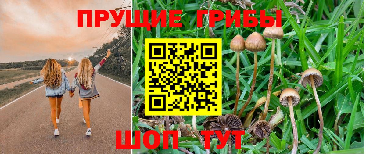 Псилоцибиновые грибы Magic Shrooms Ишимбай