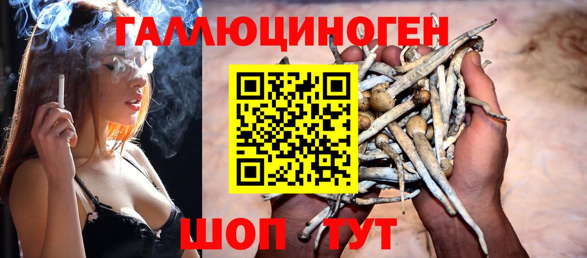 Псилоцибиновые грибы прущие грибы  Галлюциногенные грибы прущие грибы  Вход с VPN  Ишимбай 